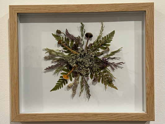 Pilzsymphonie im Bilderrahmen