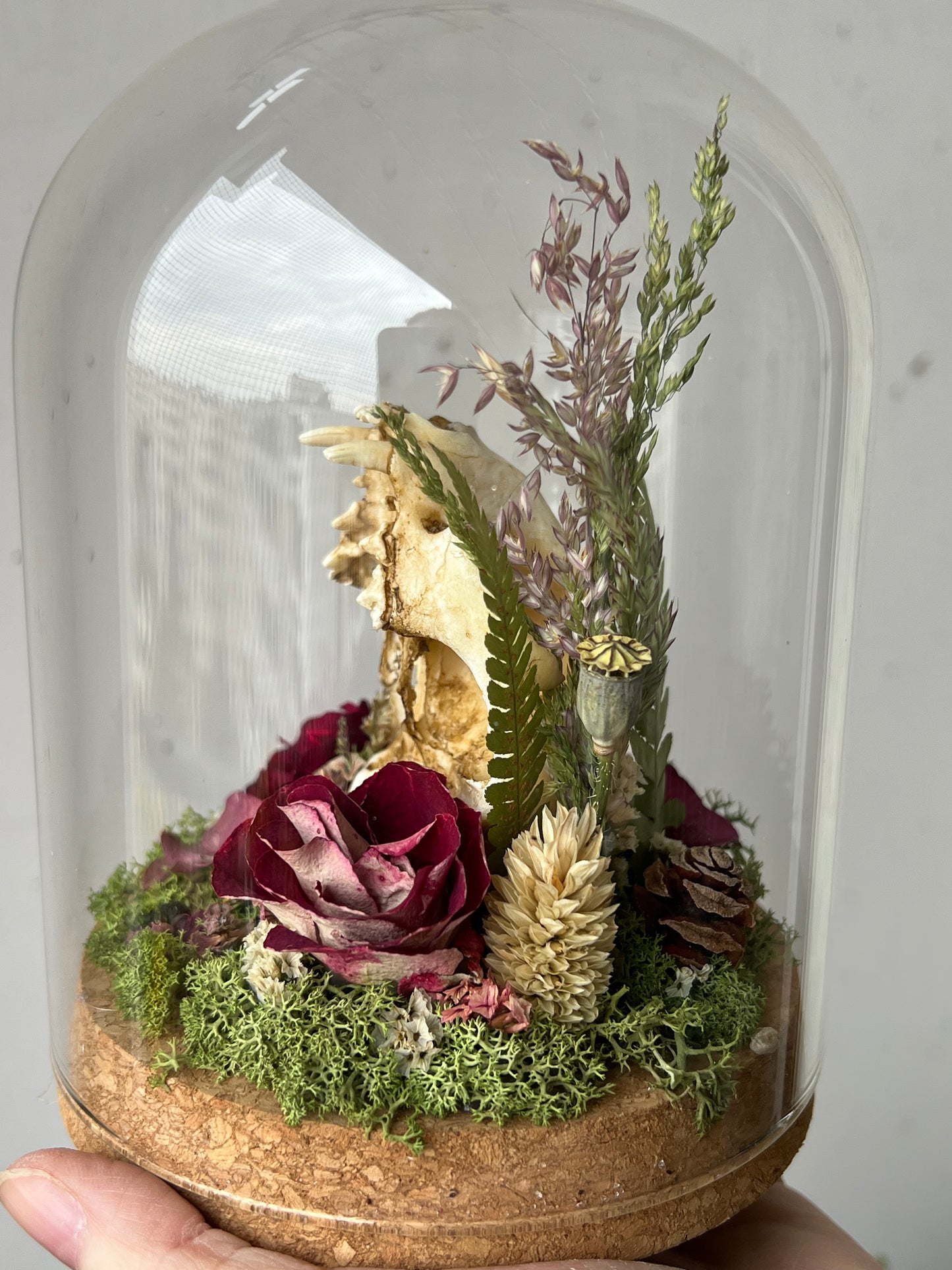 Diorama mit Katzenskull Replikation, Rosen & Blumen