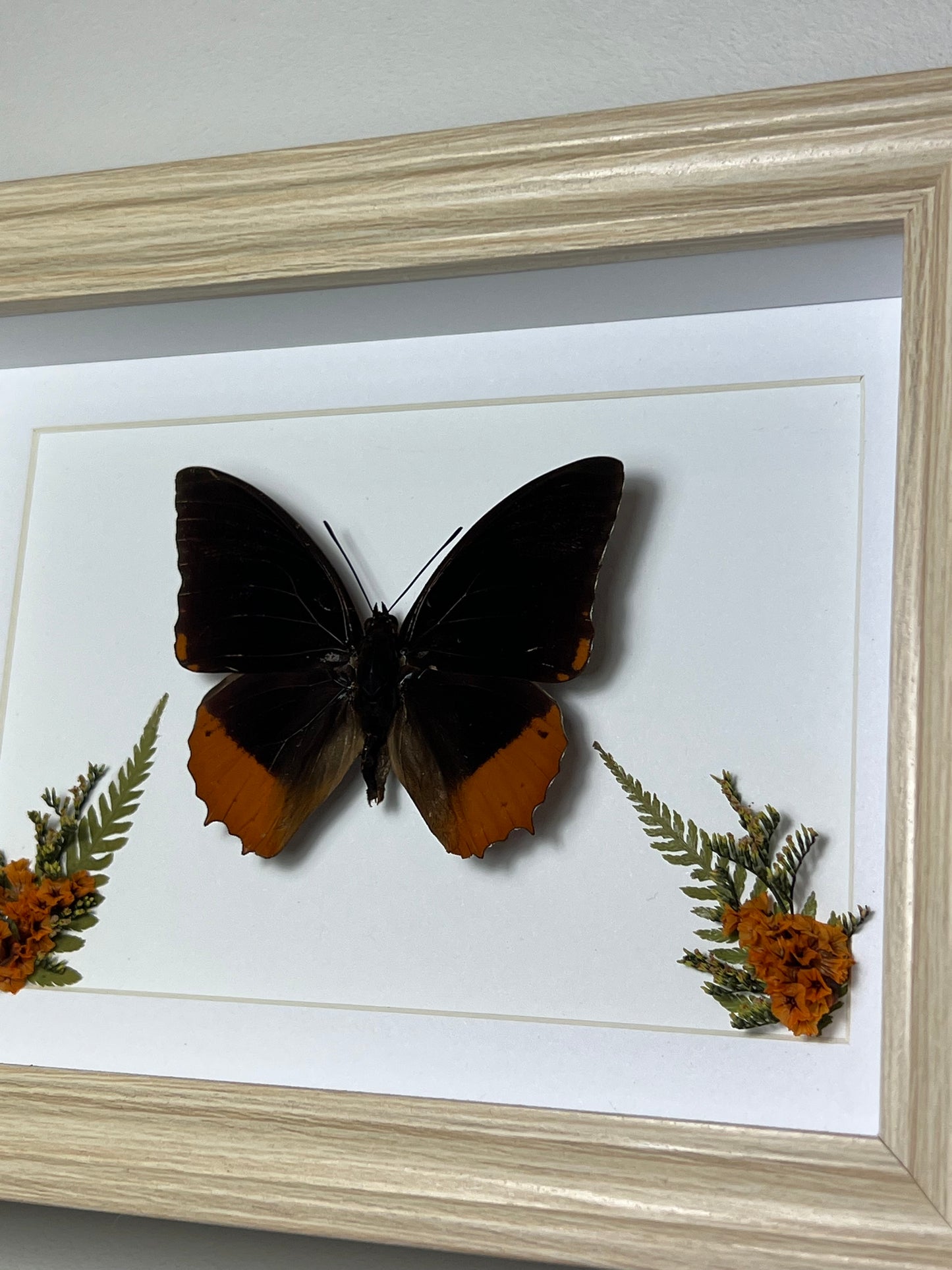Bilderrahmen mit Flammen-Prachtfalter und Blumen