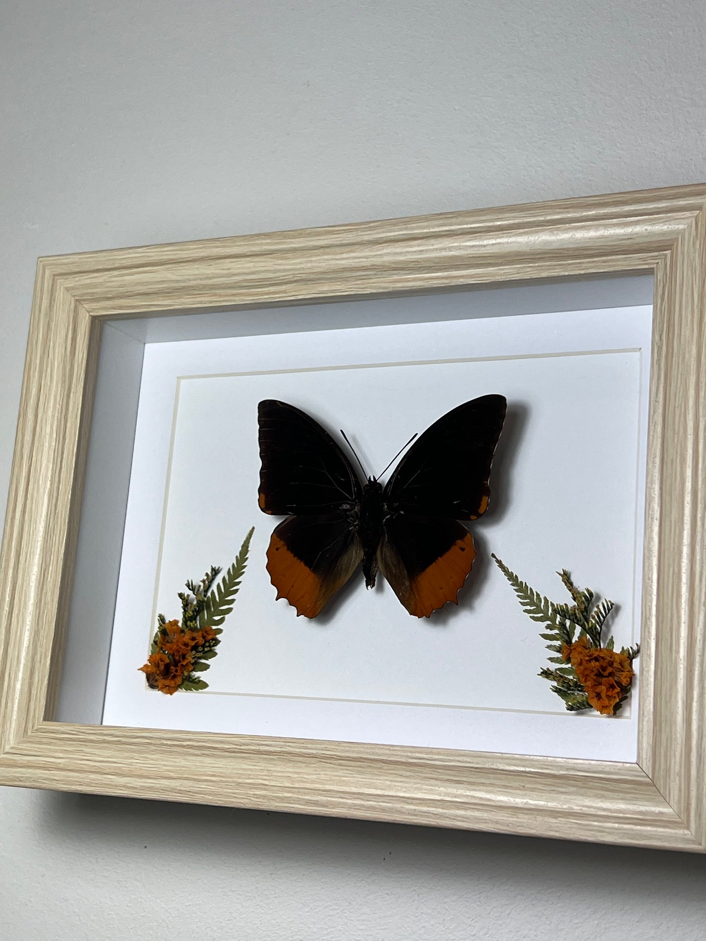 Bilderrahmen mit Flammen-Prachtfalter und Blumen