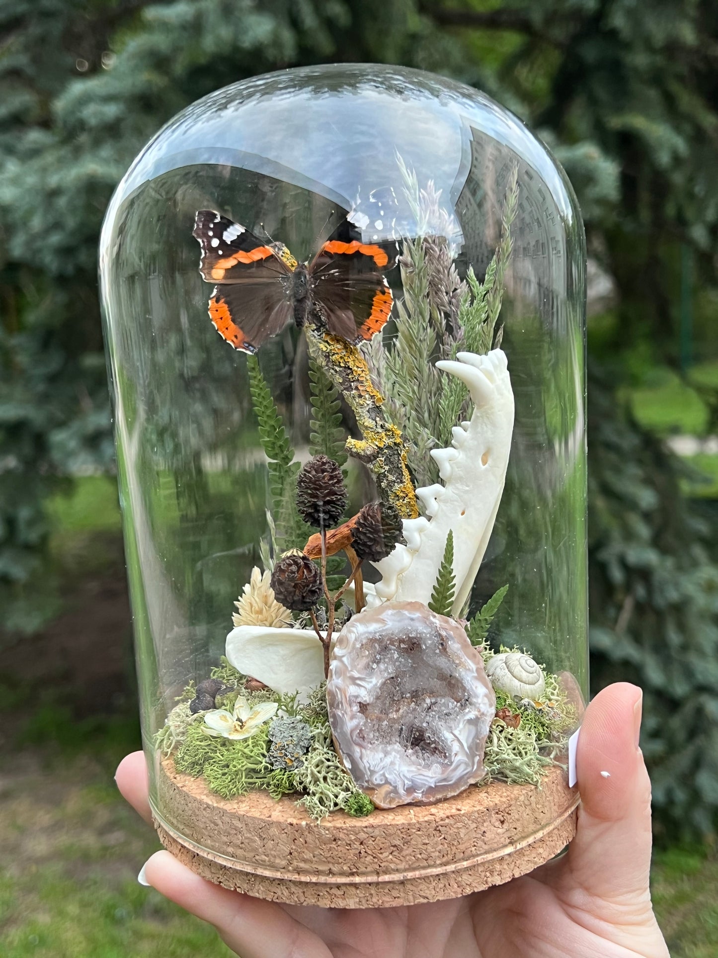 Diorama mit Fuchskiefer, Schmetterling & Achat Geode