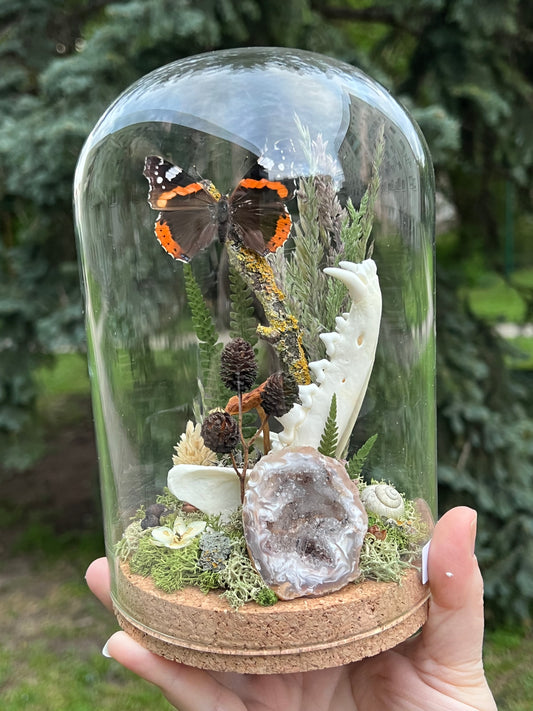 Diorama mit Fuchskiefer, Schmetterling & Achat Geode