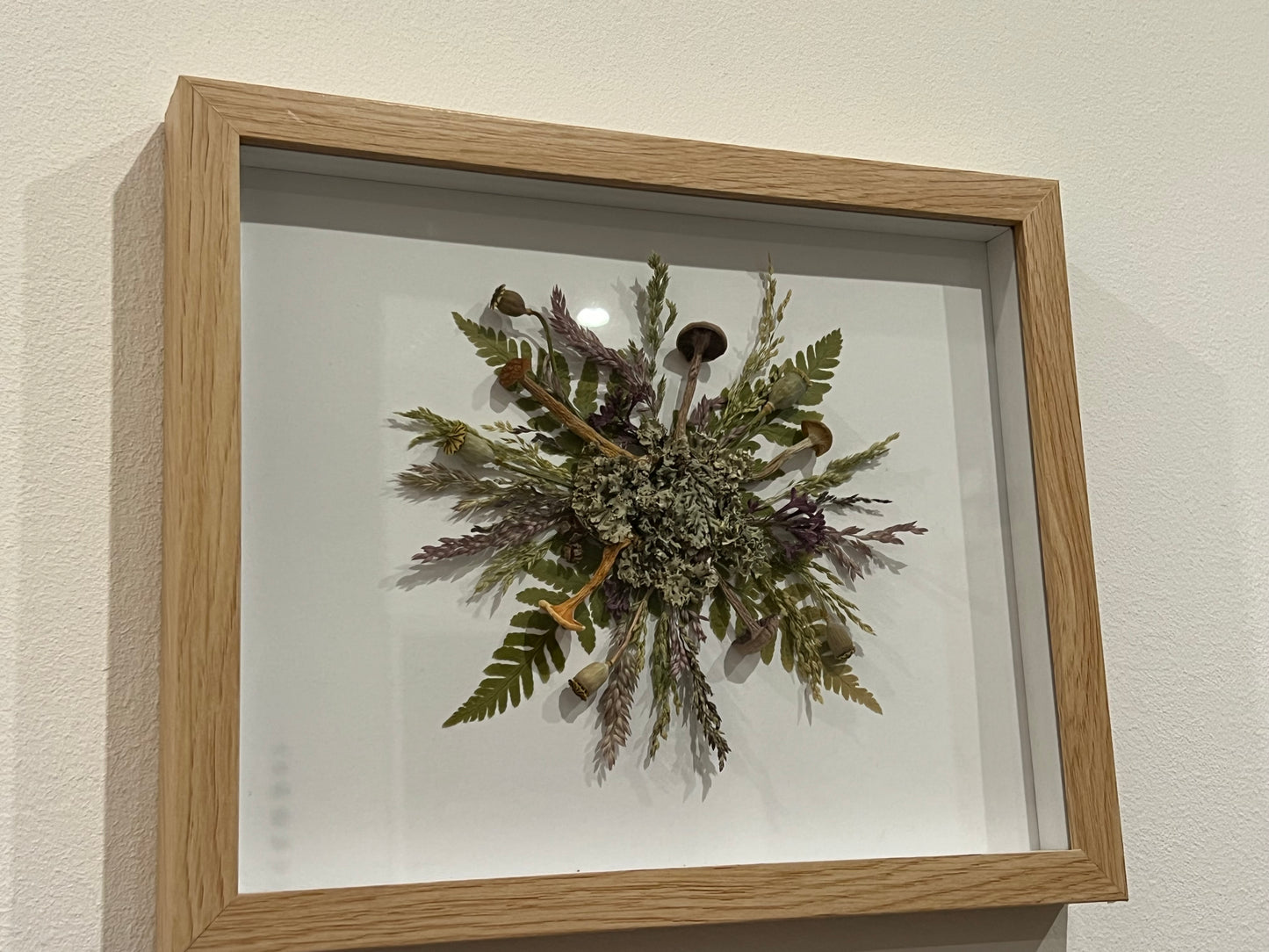 Pilzsymphonie im Bilderrahmen