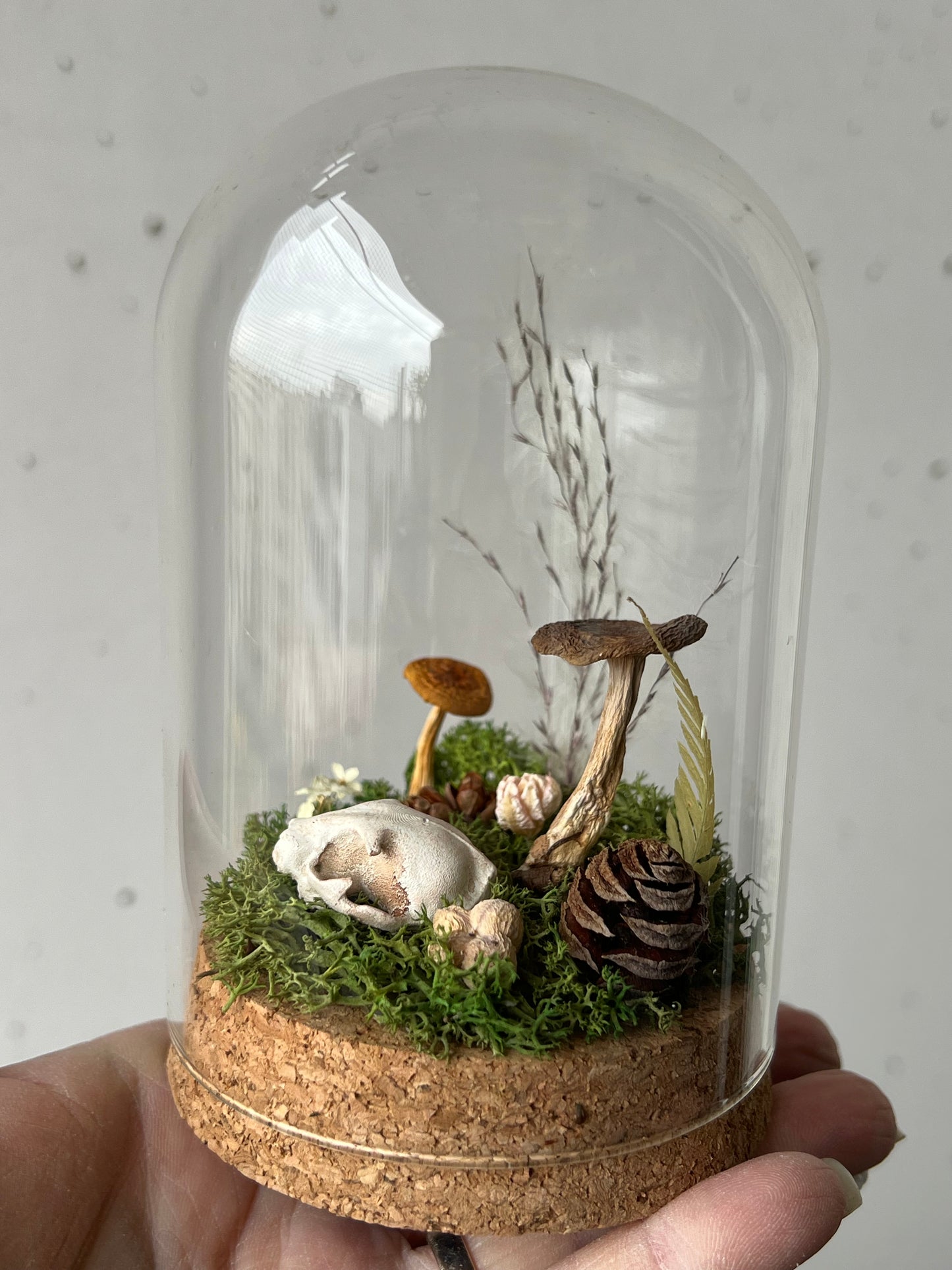 Miniaturwelt mit Katzenschädel und Pilzen
