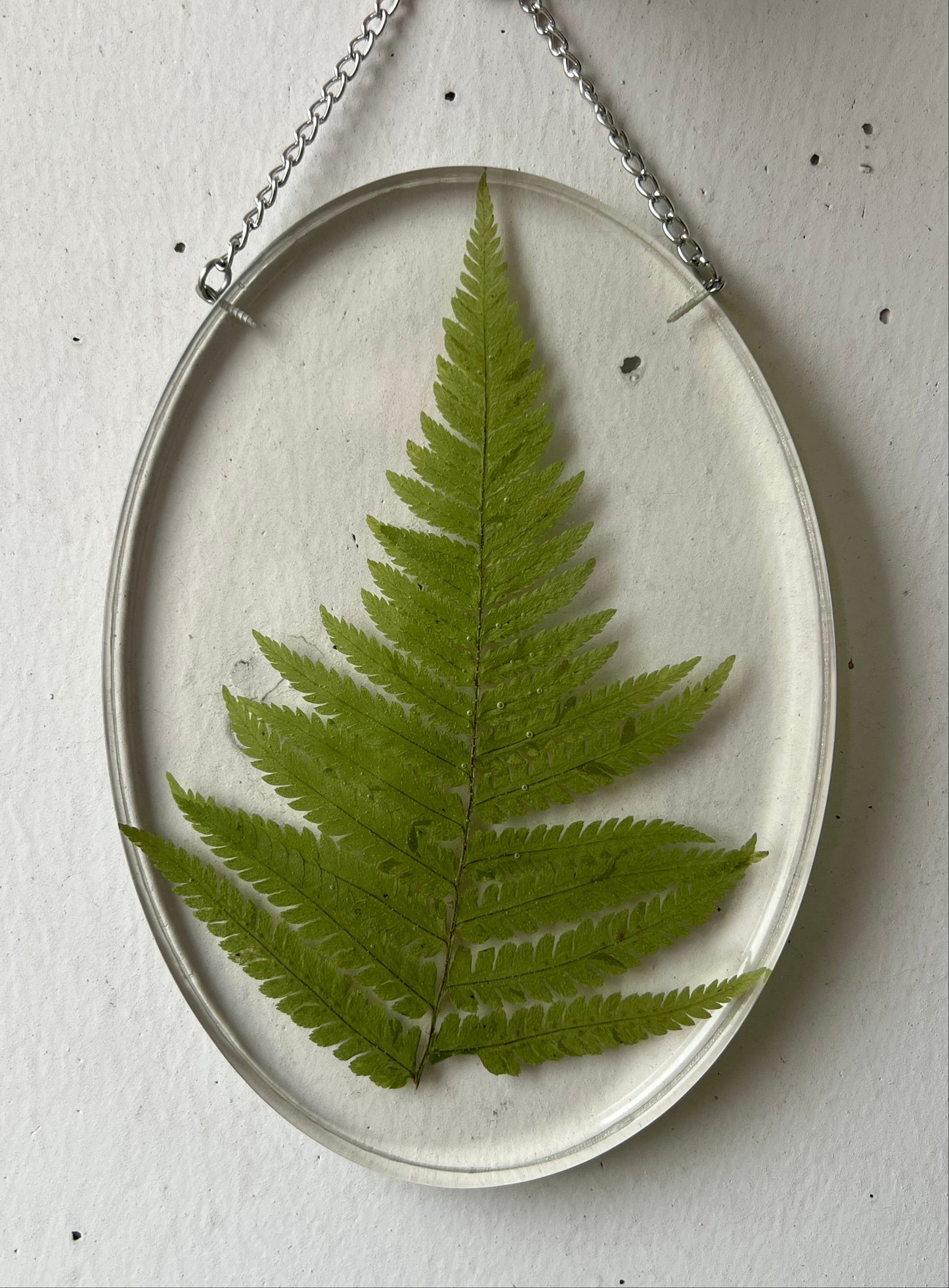 Wandbild mit Farn Blatt
