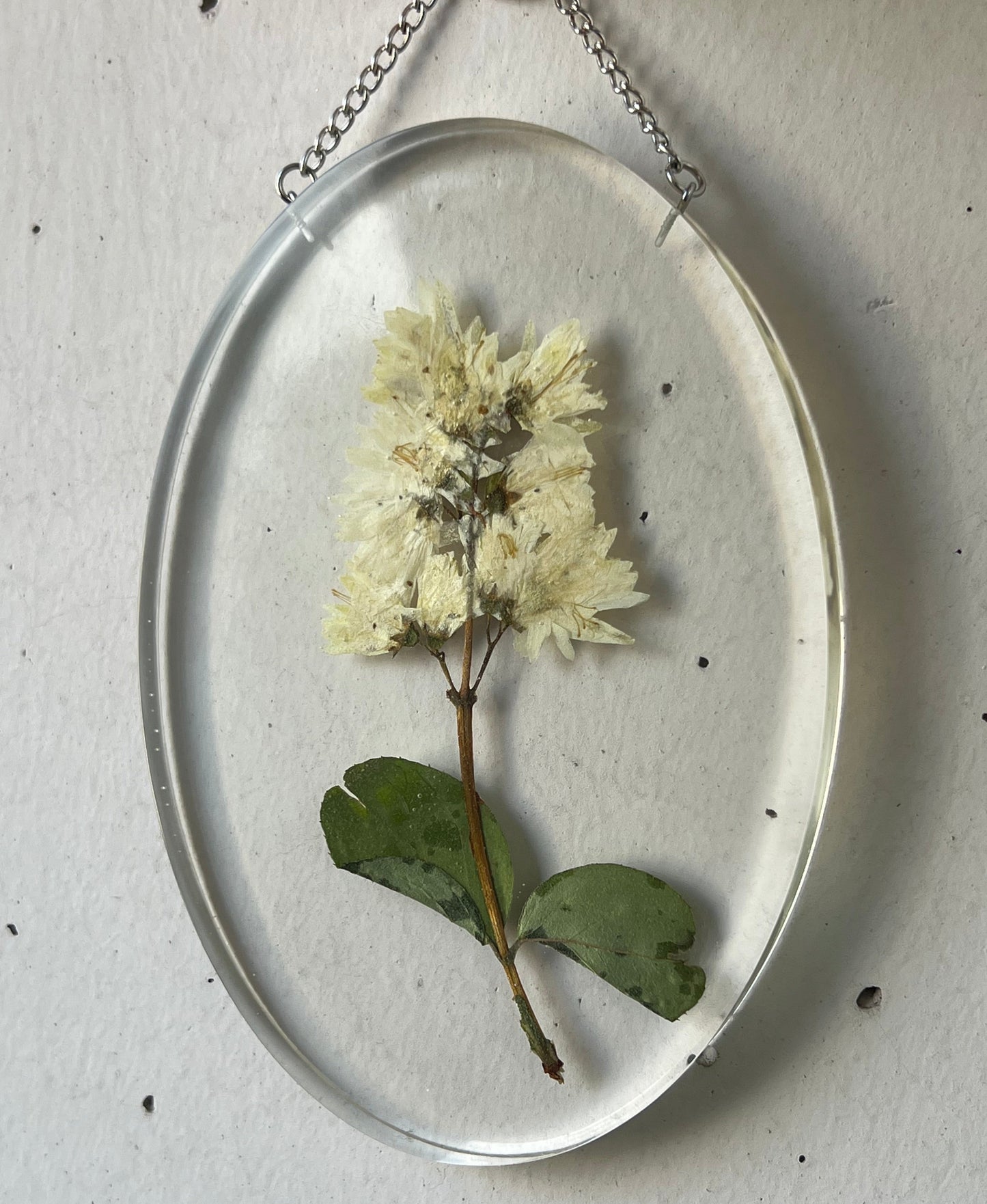 Wandbild mit Wildblume
