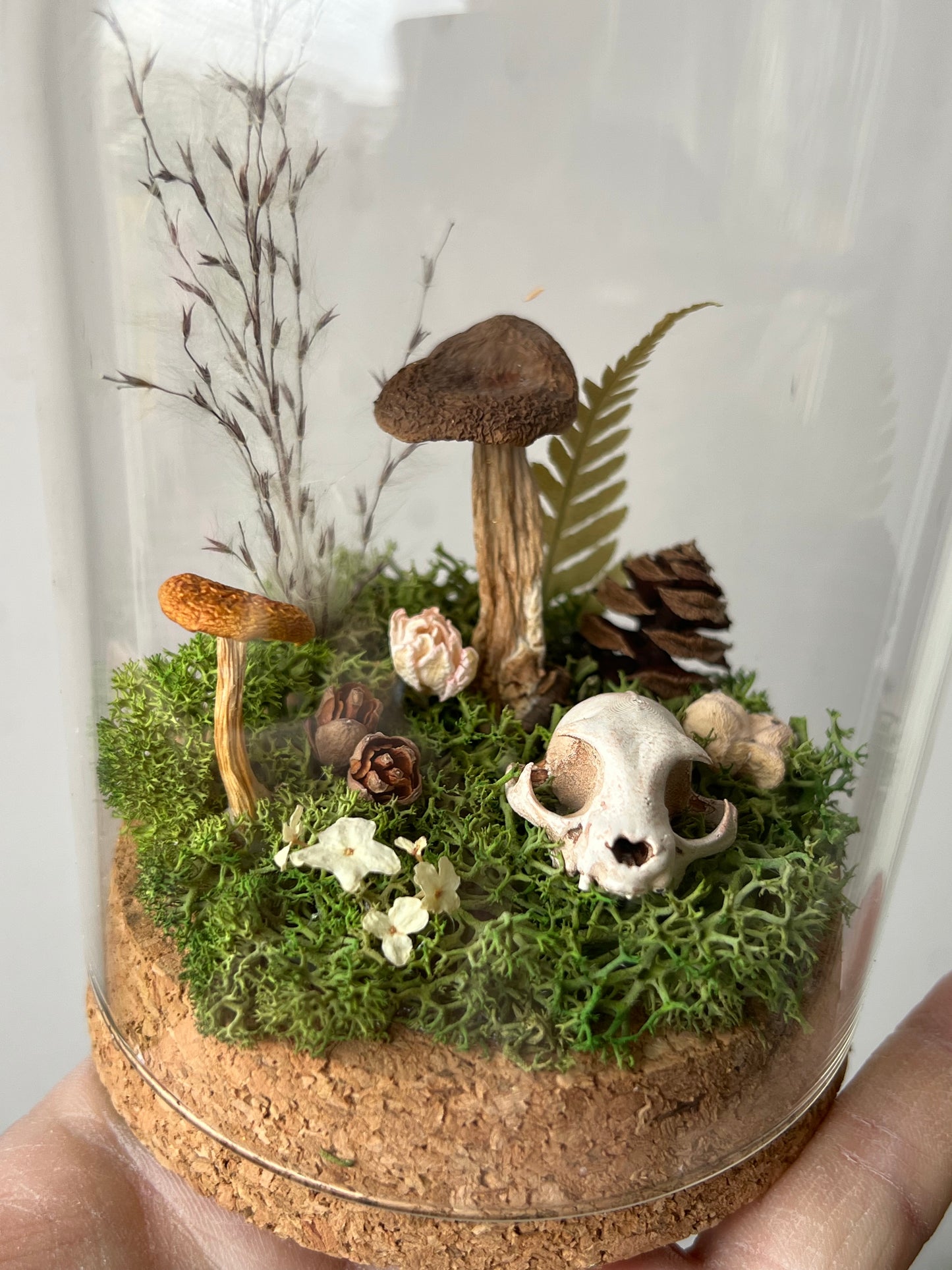 Miniaturwelt mit Katzenschädel und Pilzen