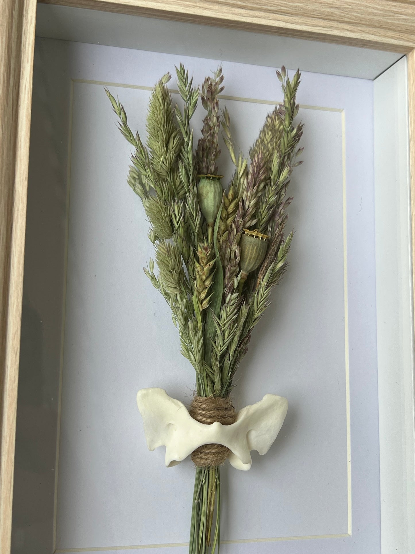 Bilderrahmen mit Fuchswirbel, Gräser und Mohnkapseln