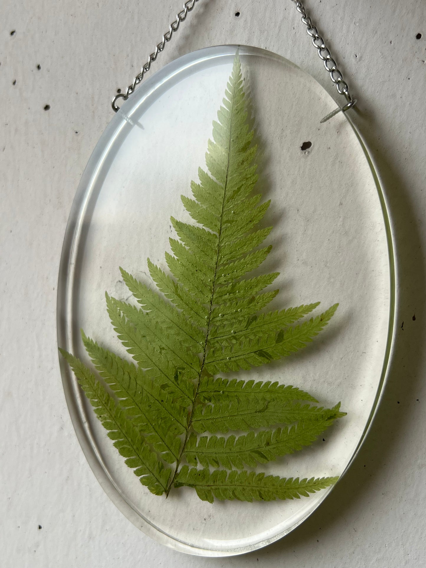 Wandbild mit Farn Blatt