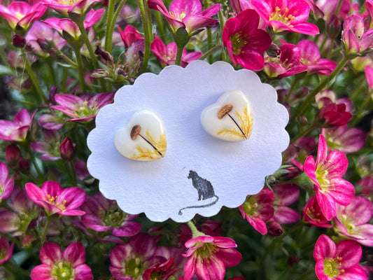 Ohrstecker mit echten Pilzen und Moos