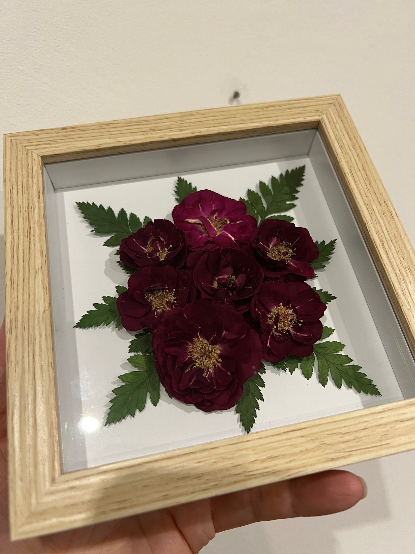 Rosen und Farn in Bilderrahmen