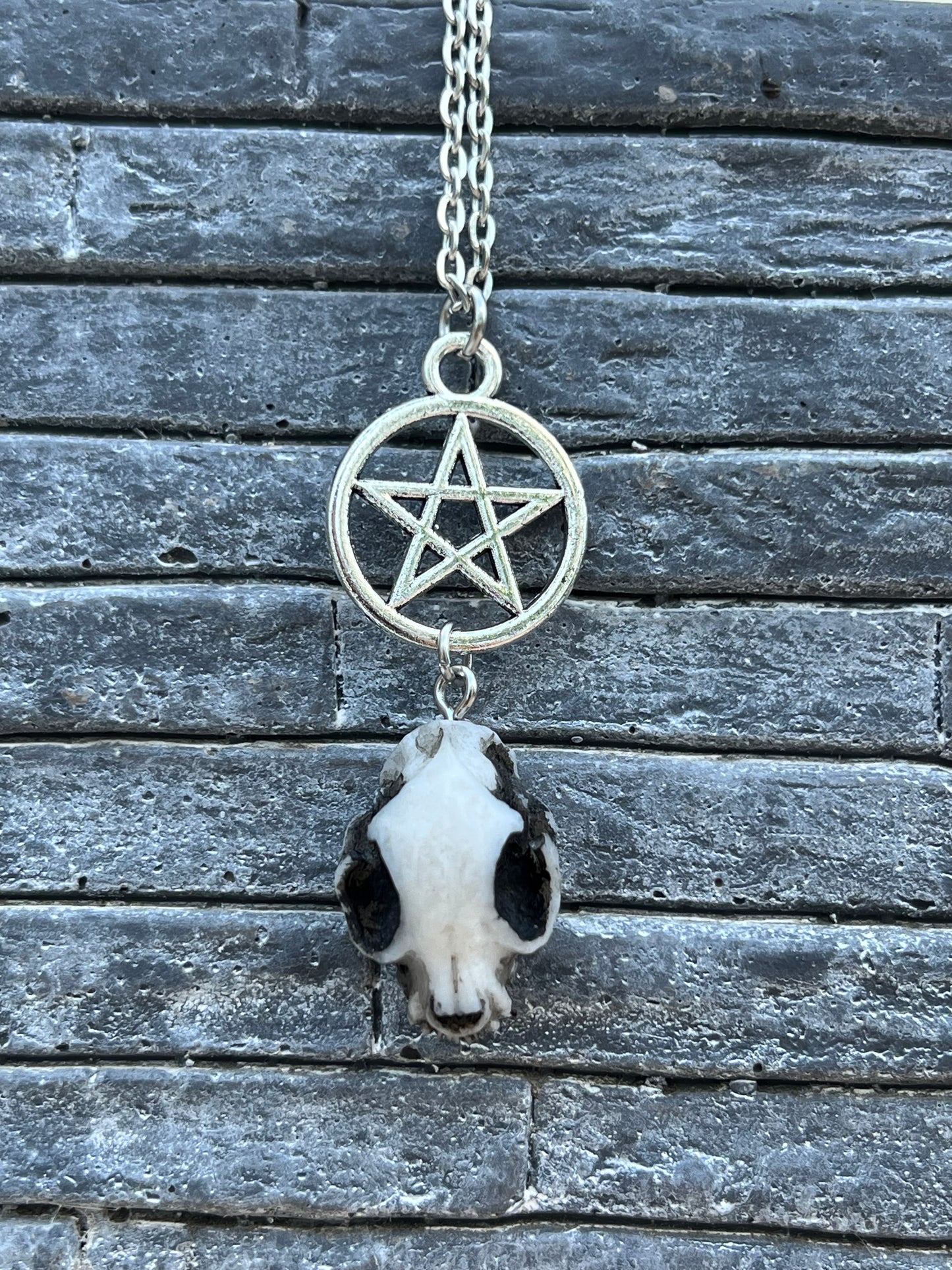 Katzenschädel Halskette Silber